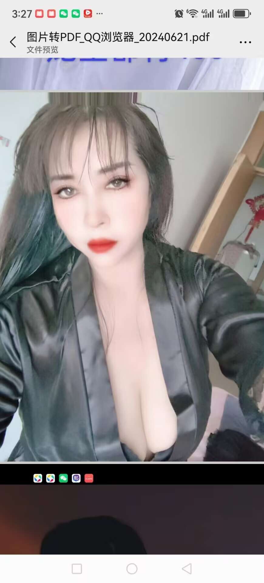 骚妇燕子-51