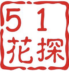 51花探